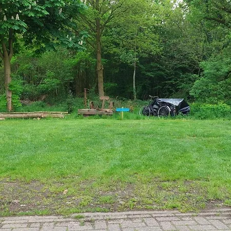 Achterbos Sint-Oedenrode