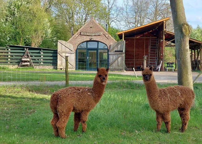 Дом отдыха Achterbos *